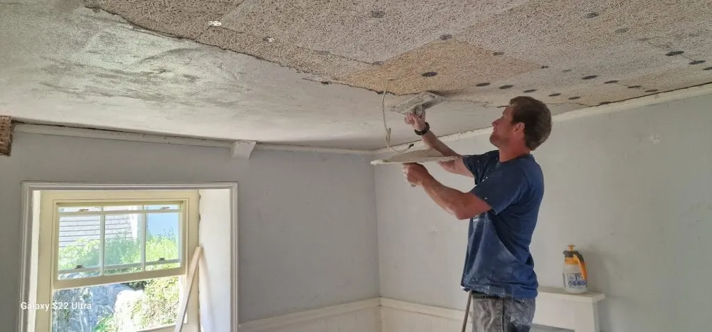 Lime Ceiling, Perranuthnoe nr Penzance, 2023