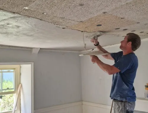 Lime Ceiling, Perranuthnoe nr Penzance, 2023