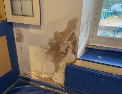 Internal Lime Plastering